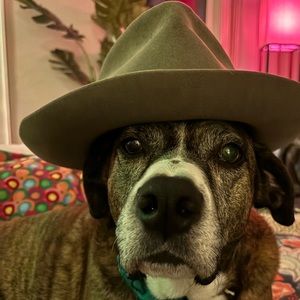 Meet your Posher, Michael